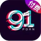 付费91porn